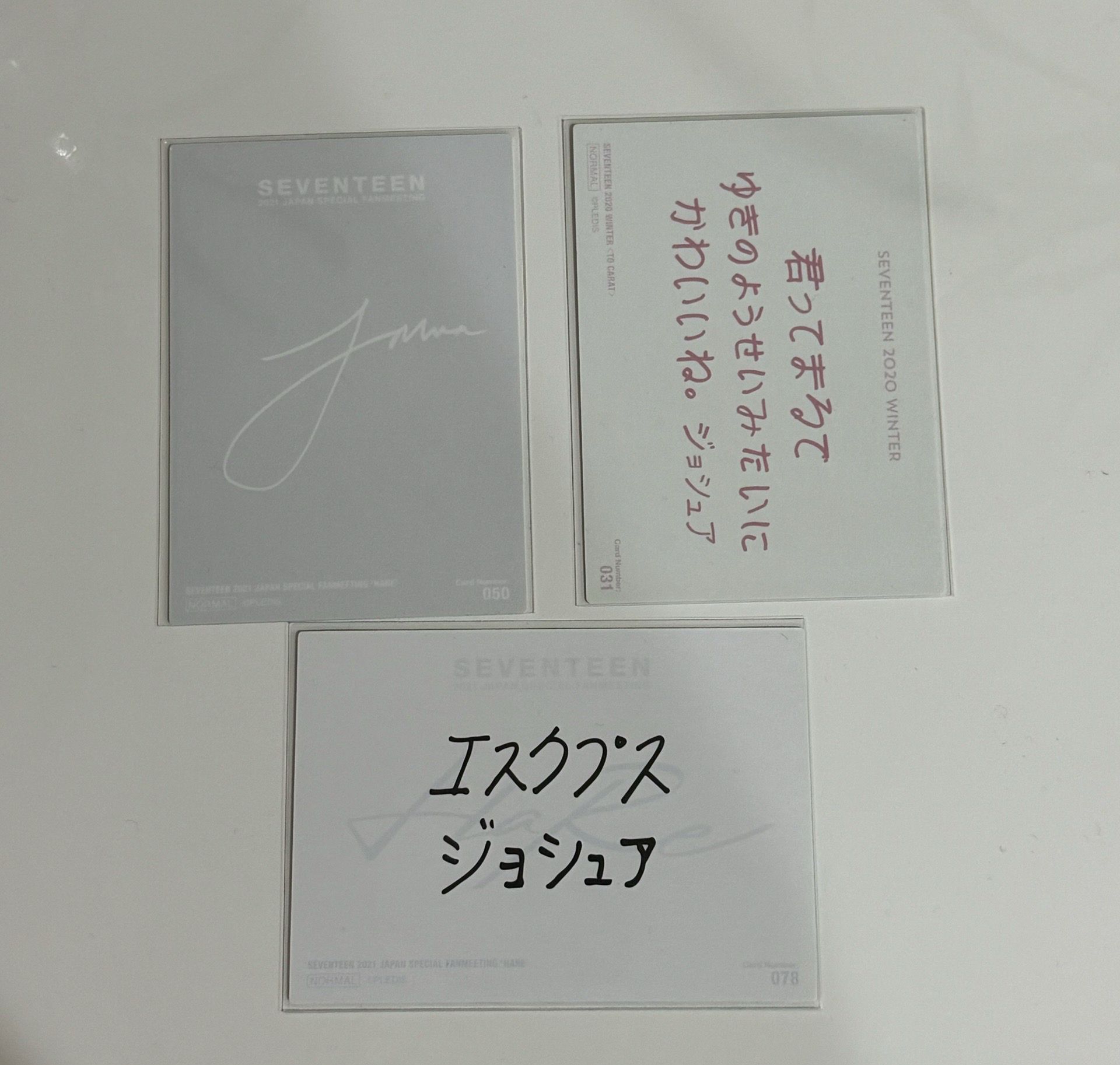 洪知秀 哲秀 日卡