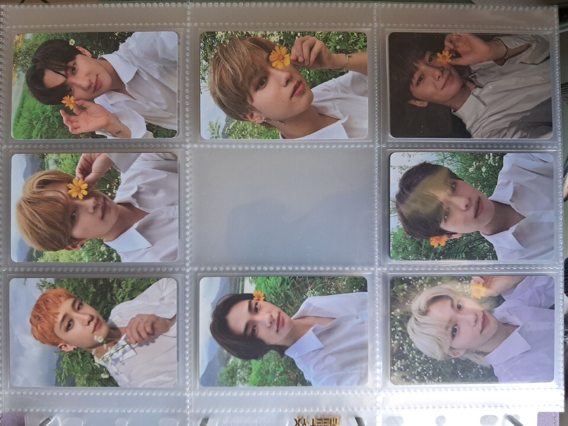 Stray Kids NOEASY 透卡組+花卡組