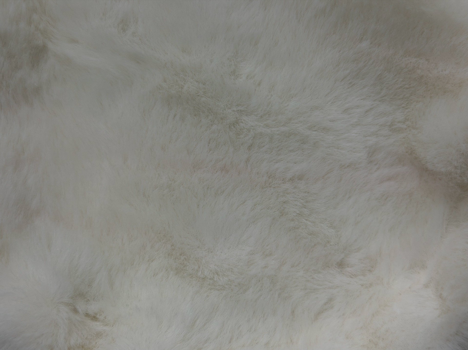 RIGHT HERE 漁夫帽