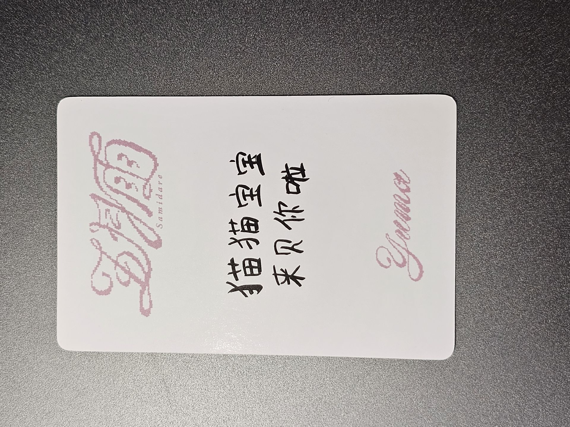 yuma 五月雨中背 青島線下