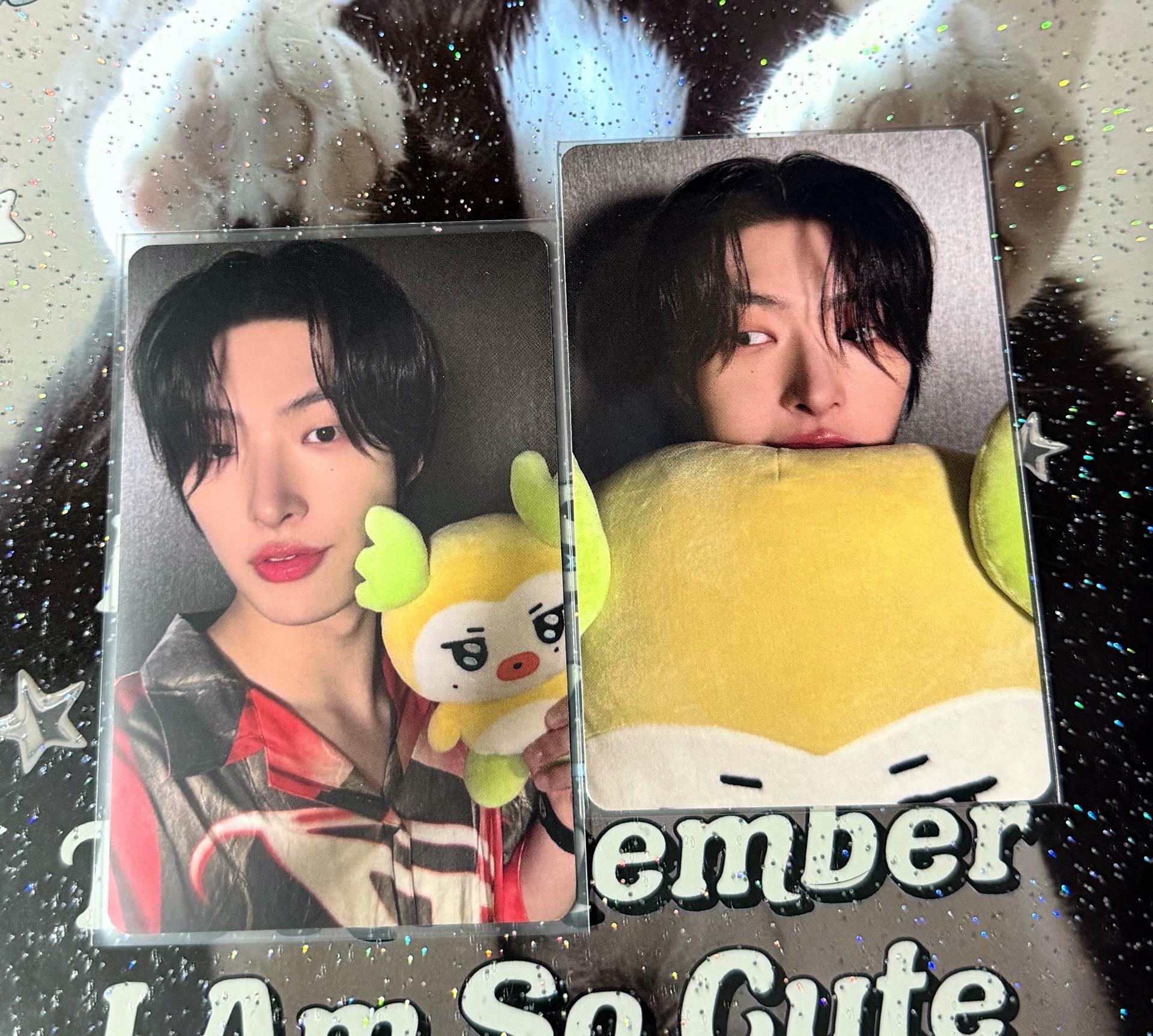 💛💚MIGHTEEZ 大臉抱枕卡+隨機卡  琦🐥