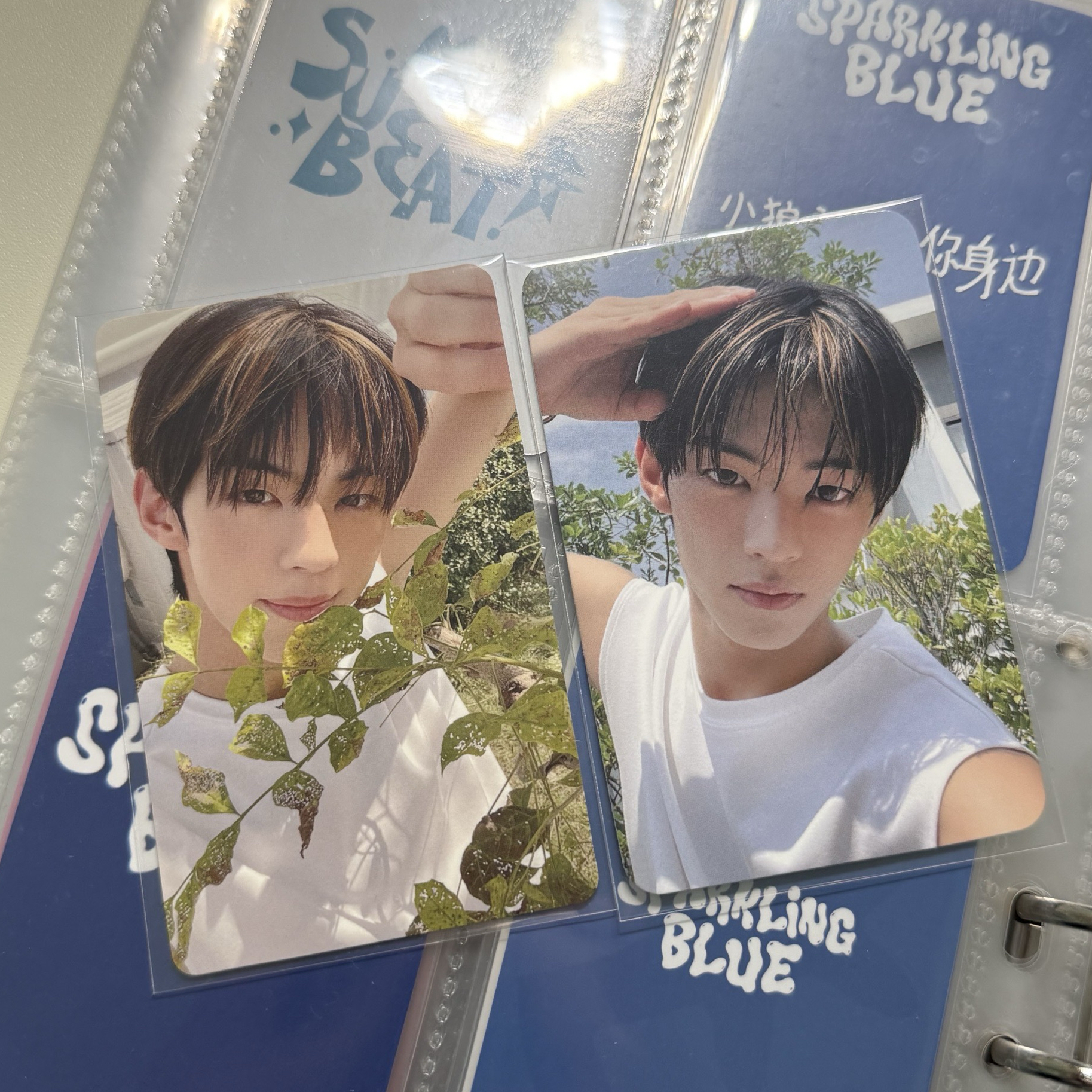 道勳 環球特典+sw簽售卡