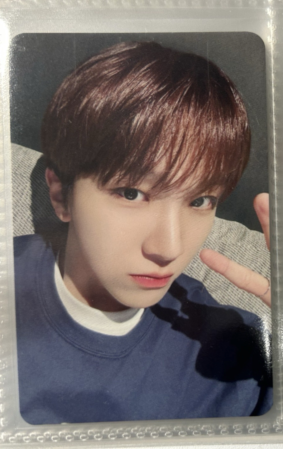 中文卡背 金吳娜