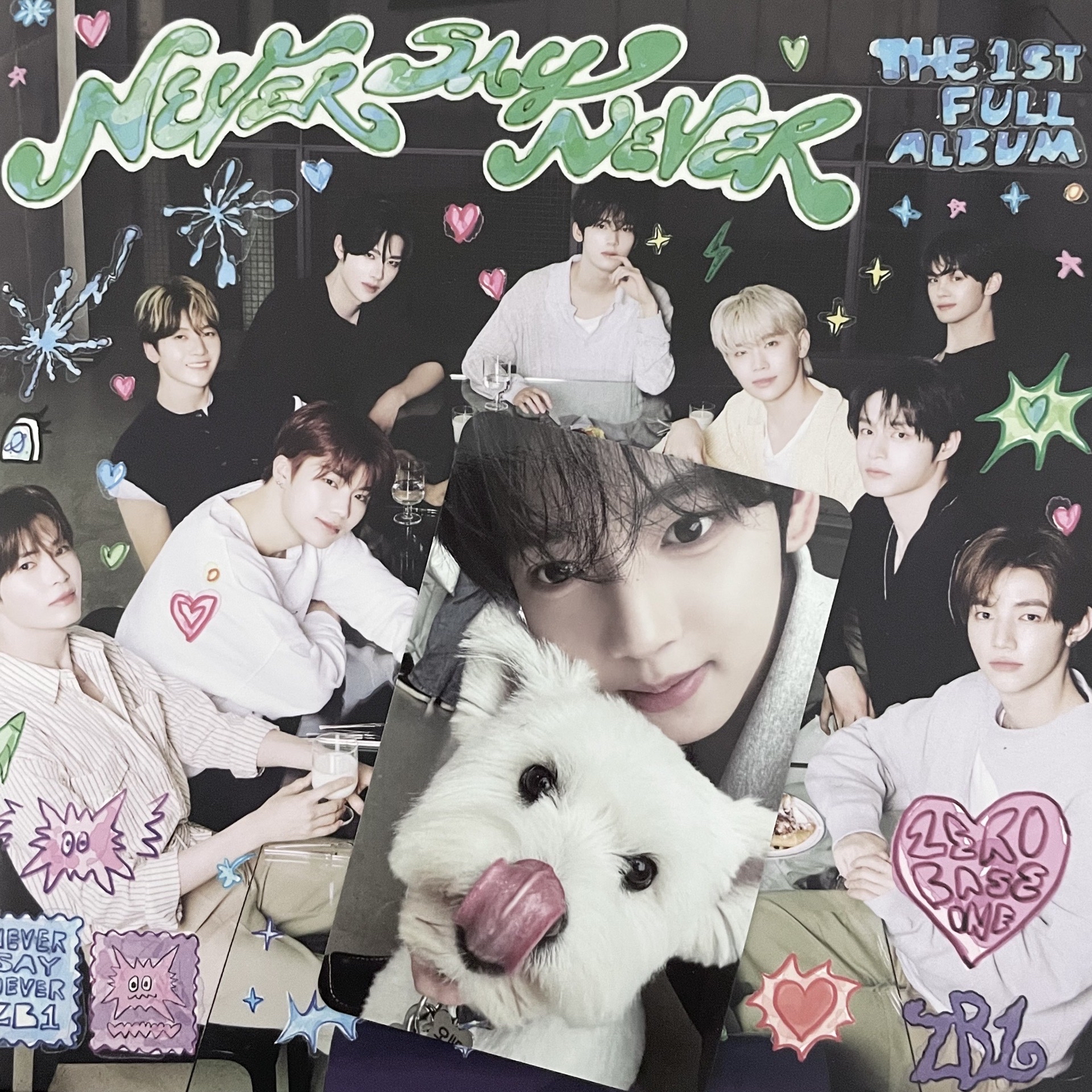 韓維辰狗狗卡+專輯 配置如圖