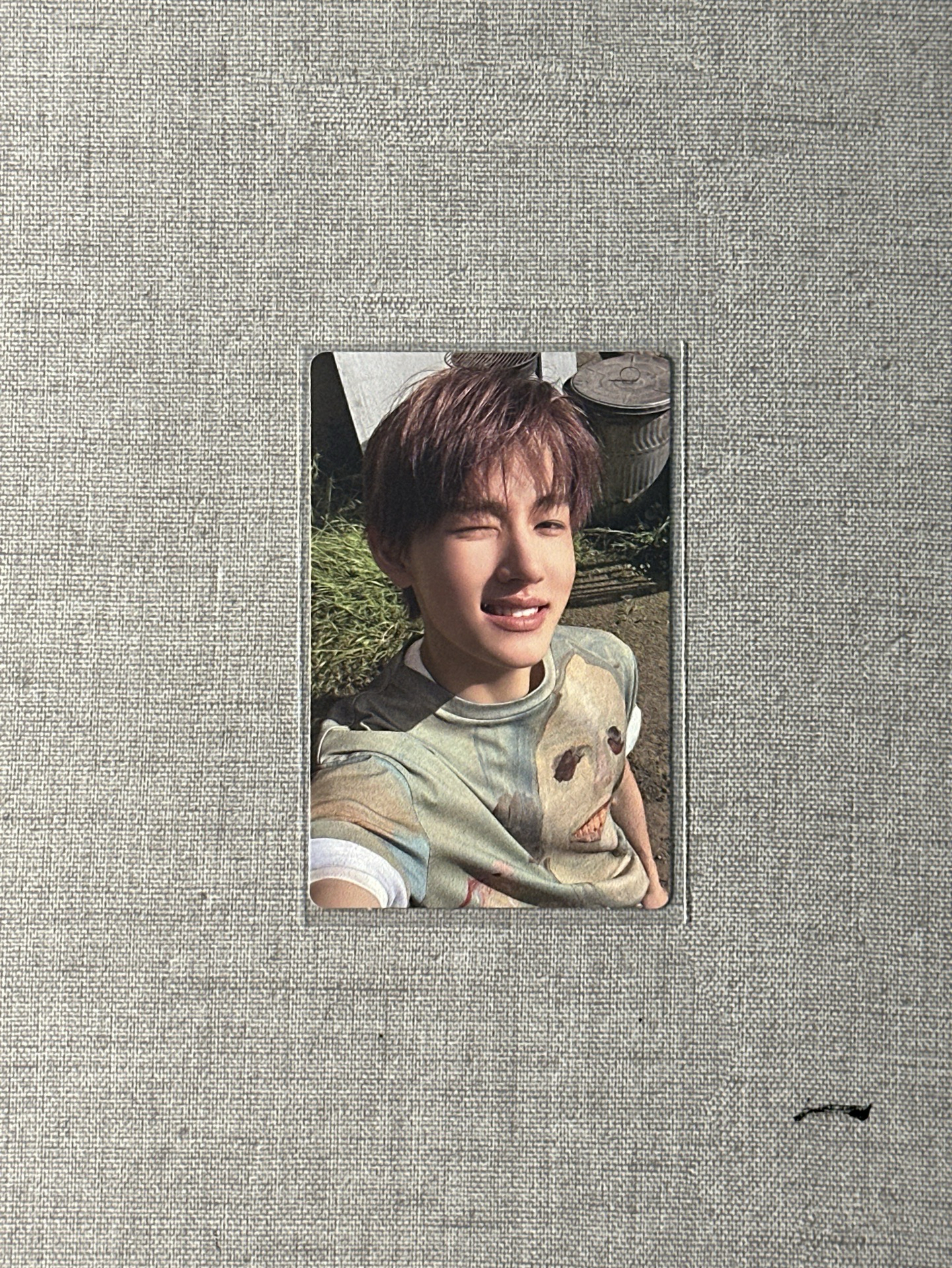 cortis | 專卡玹💚