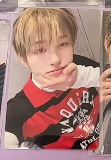 志薰阿貢包中文卡背