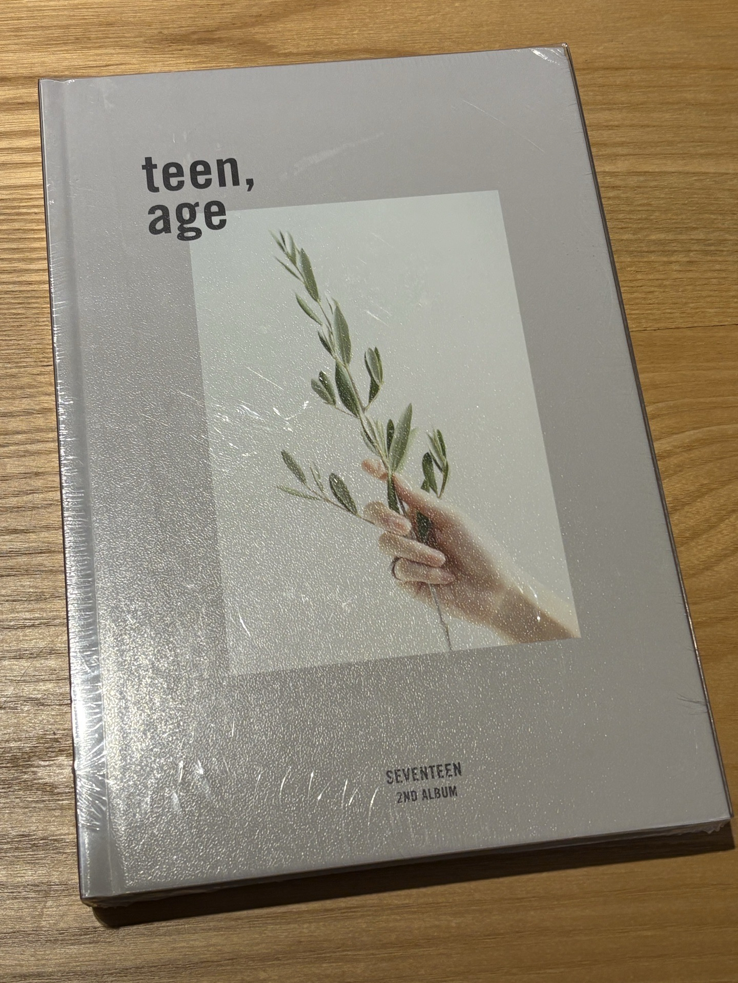 正二白版未拆專（二販）