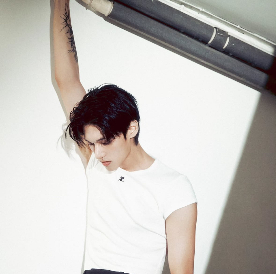 💭硬卡套加購💭