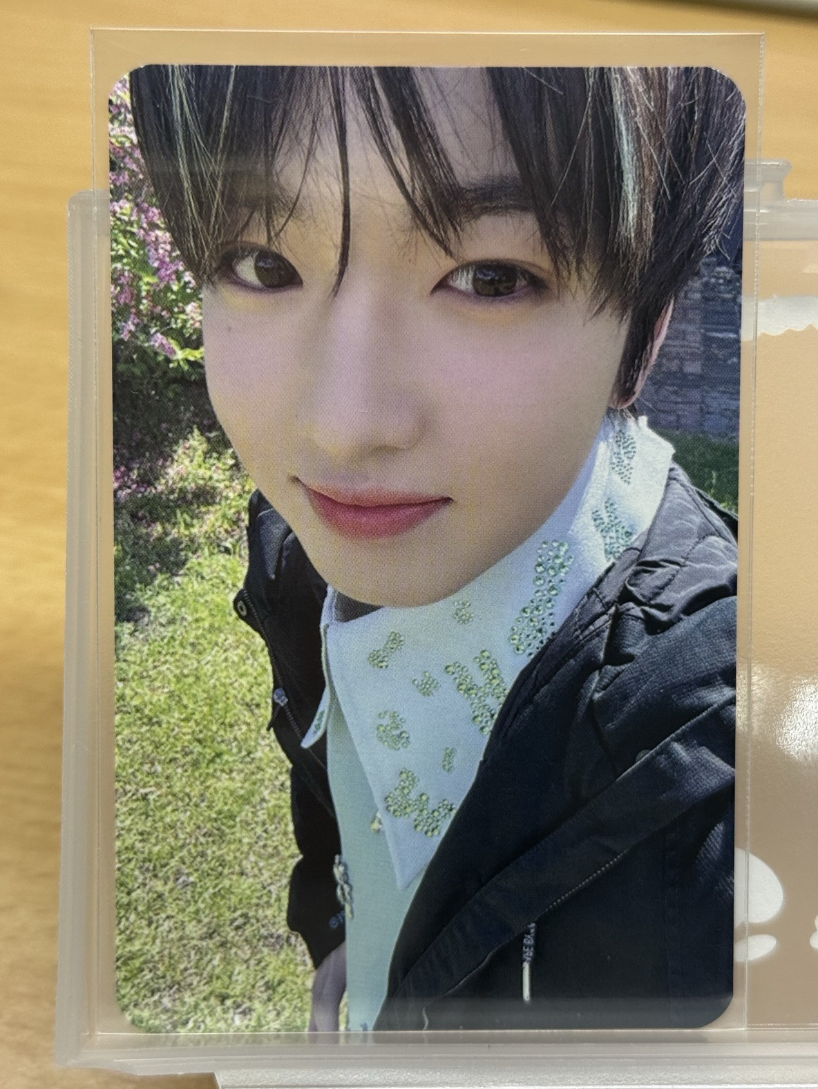 Sakuya songbird knpops 