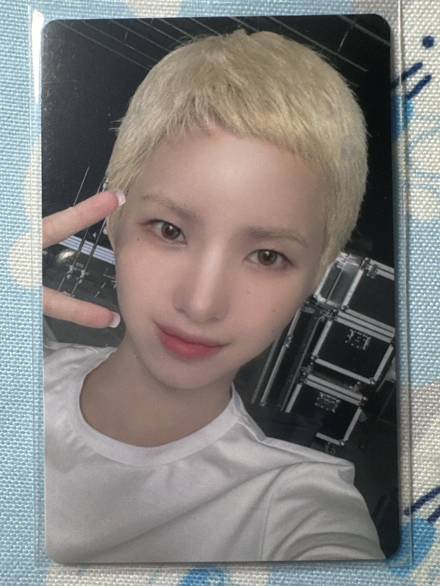 We are 塔店 特典卡 1.0 特典