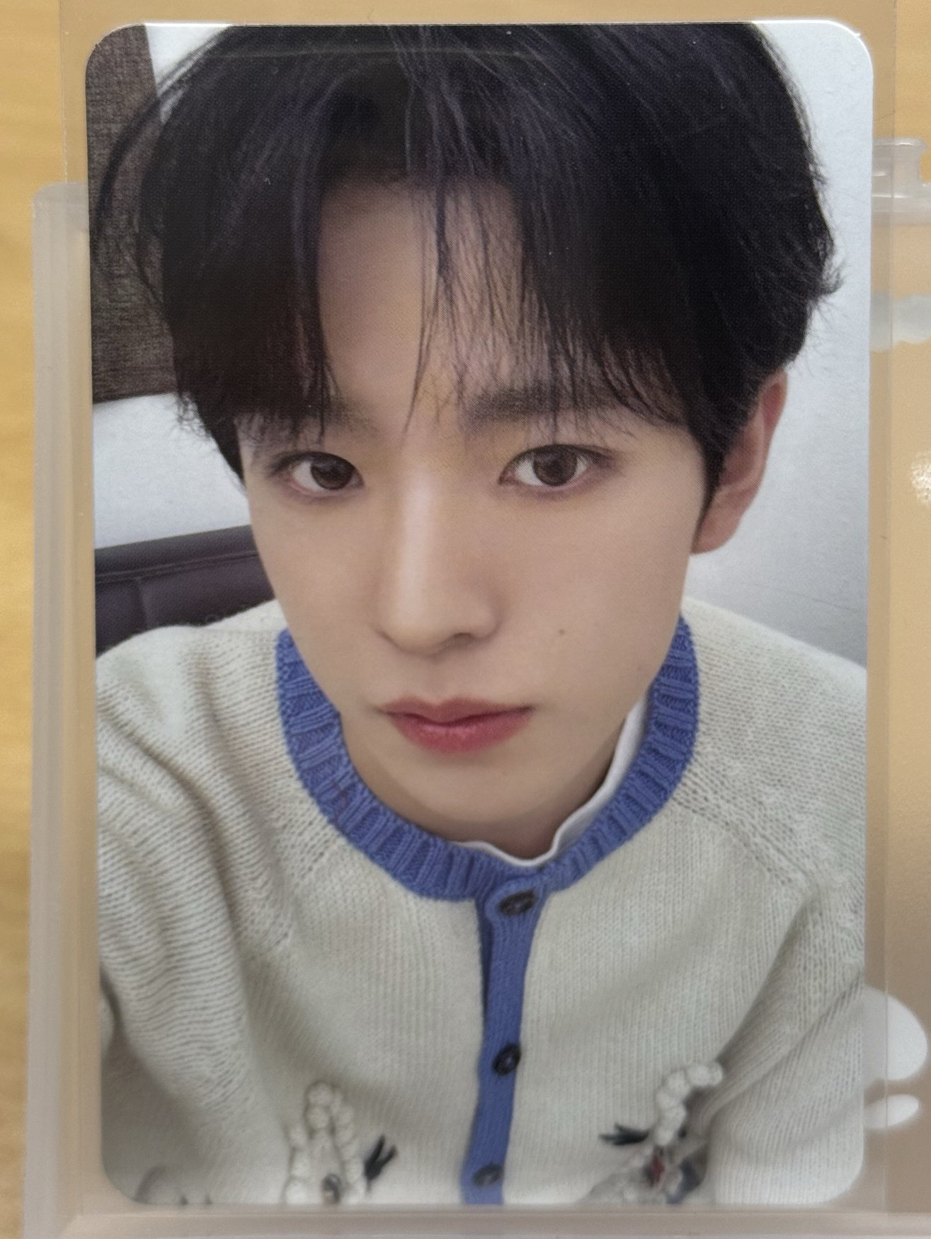 Yushi steady 項鍊卡