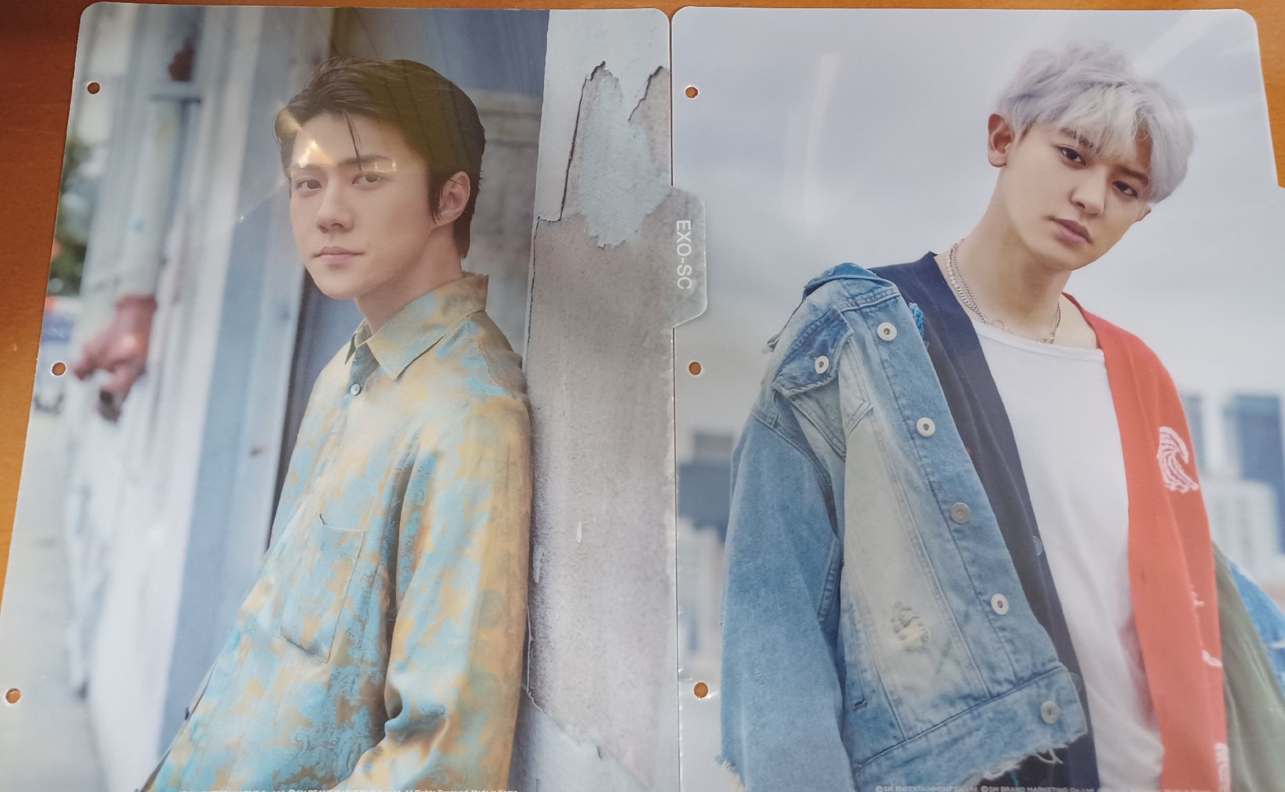 燦烈世勳卡冊分隔頁