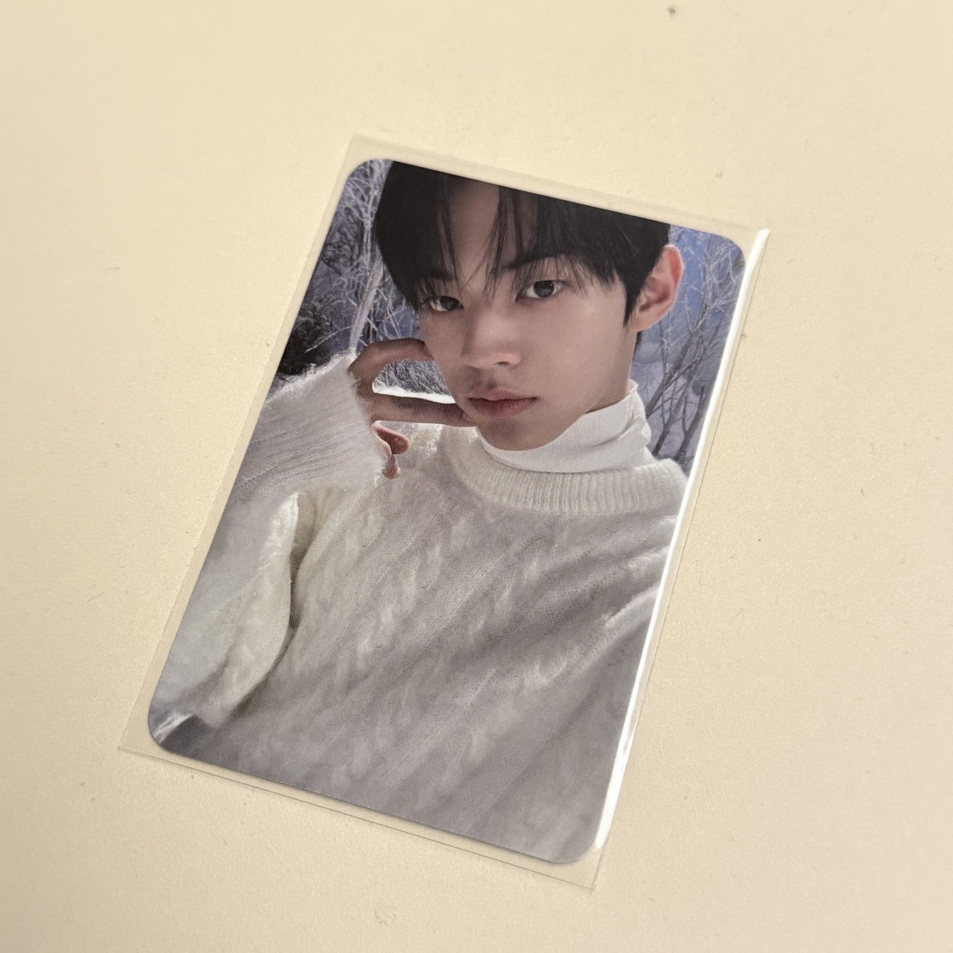 TWS 冬專yes 24簽售卡