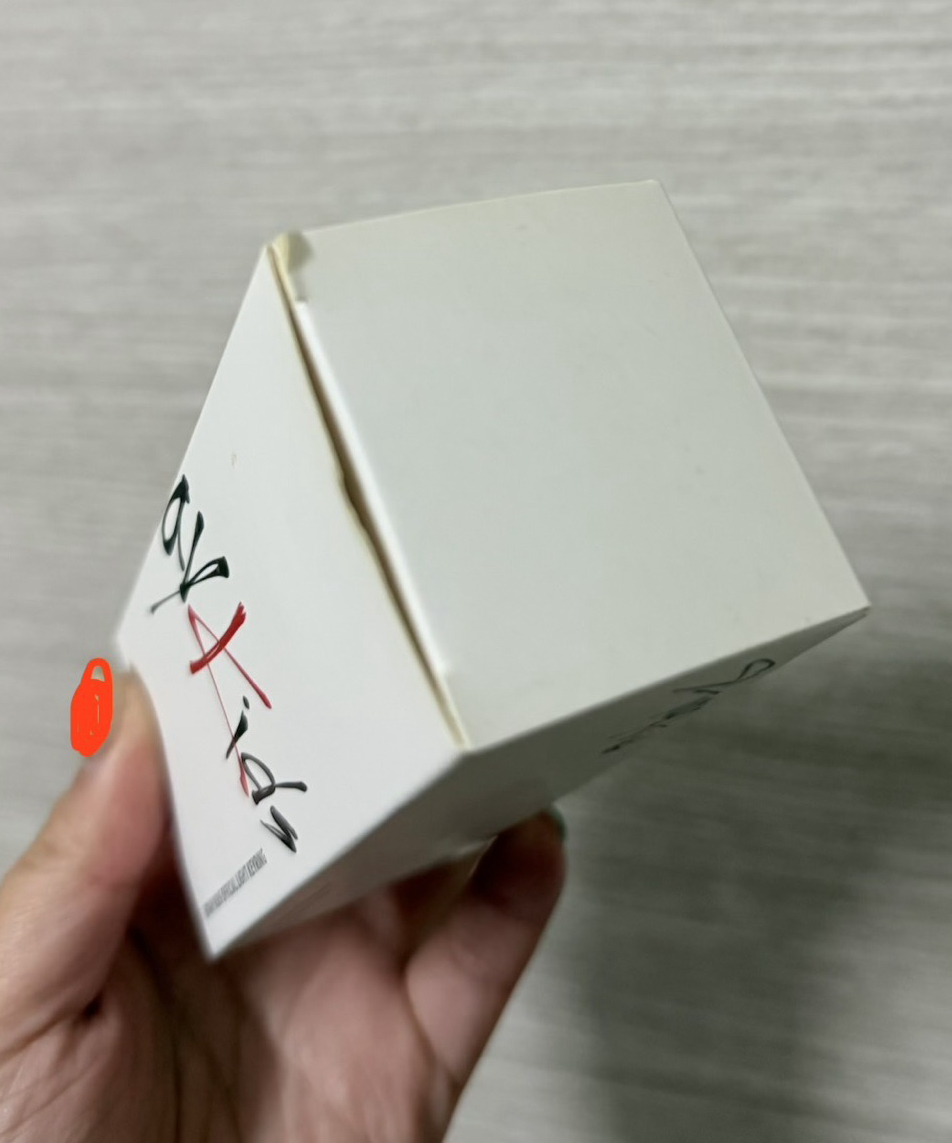 SKZ 1代手燈+迷你手燈 整組出