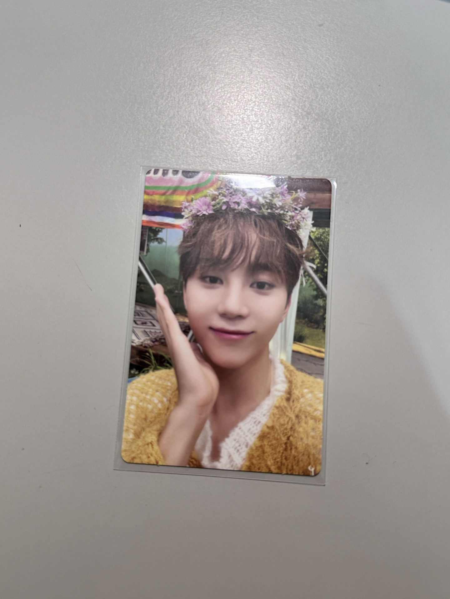 迷你11 專輯卡-寛