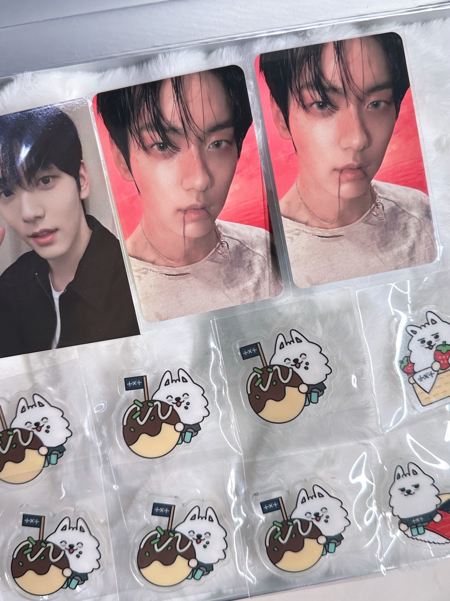 kms彬中背小盤～🐰