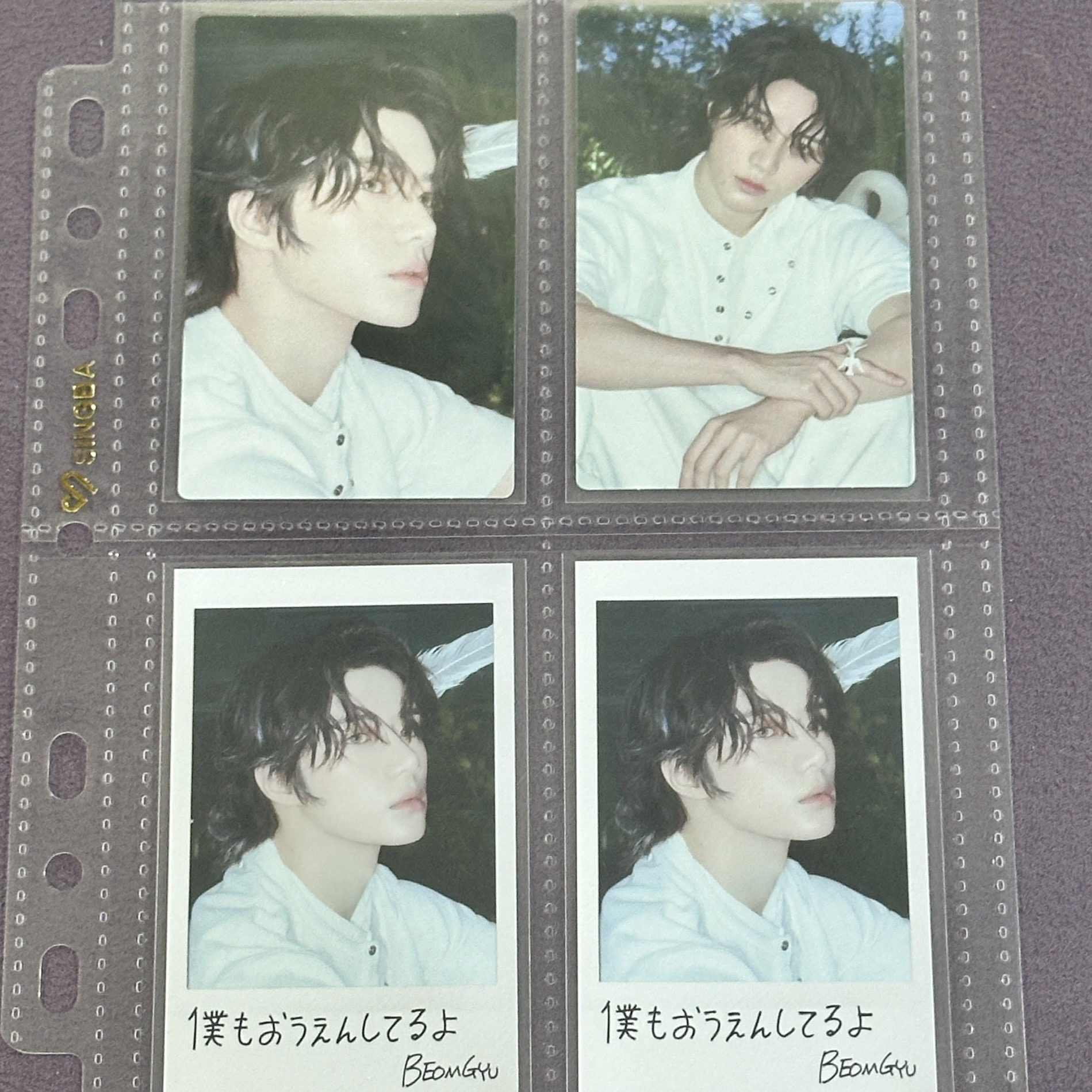 TXT Starkissed系列圭