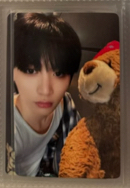 19.99一直娛 抱熊4