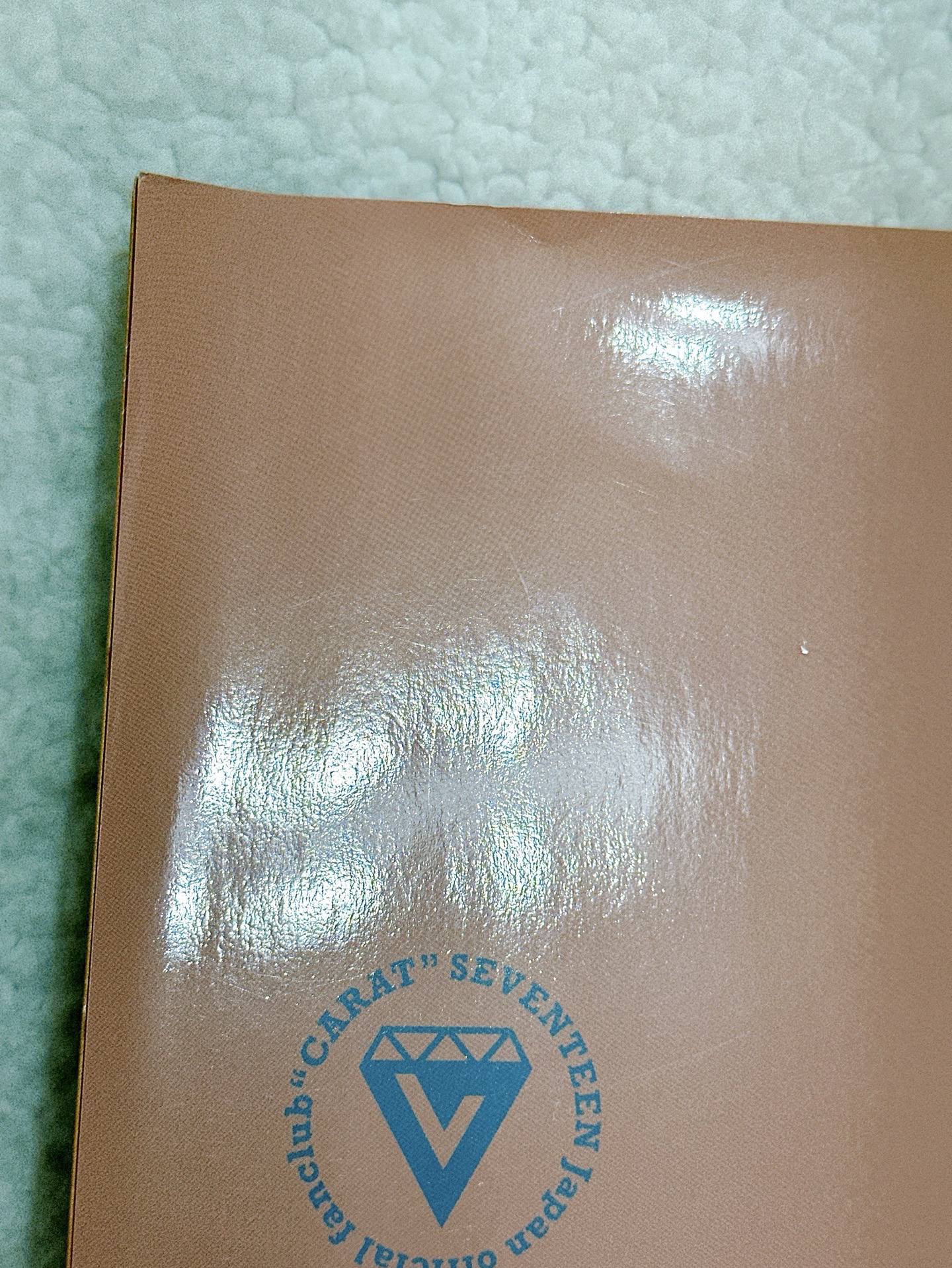 Seventeen going1.0 pb