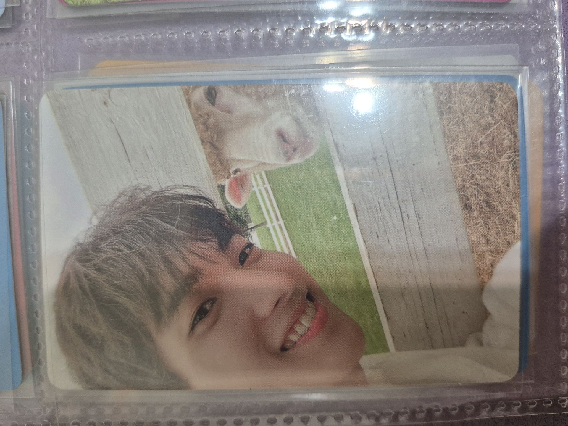 🩷碩 Social Club 羊碩