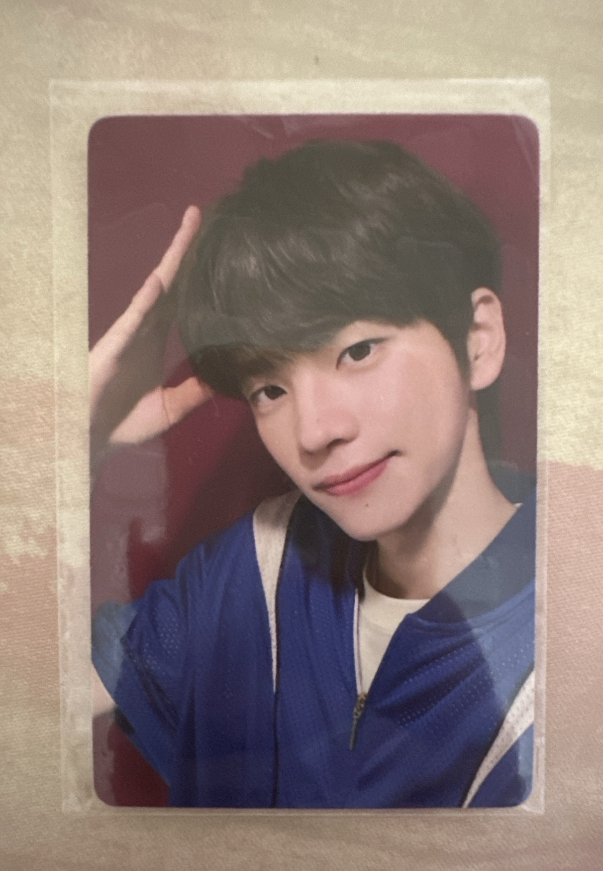 TWS SUMMER BEAT! yzy 一直娛 粉色情書 特典卡 SHINYU 申惟 狗耳