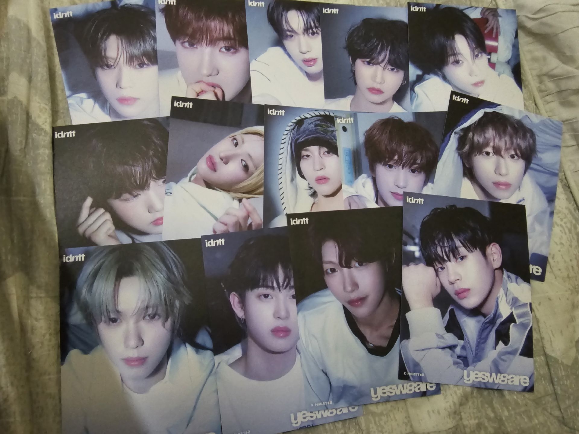 idntt 扭蛋會明信片 整組14張