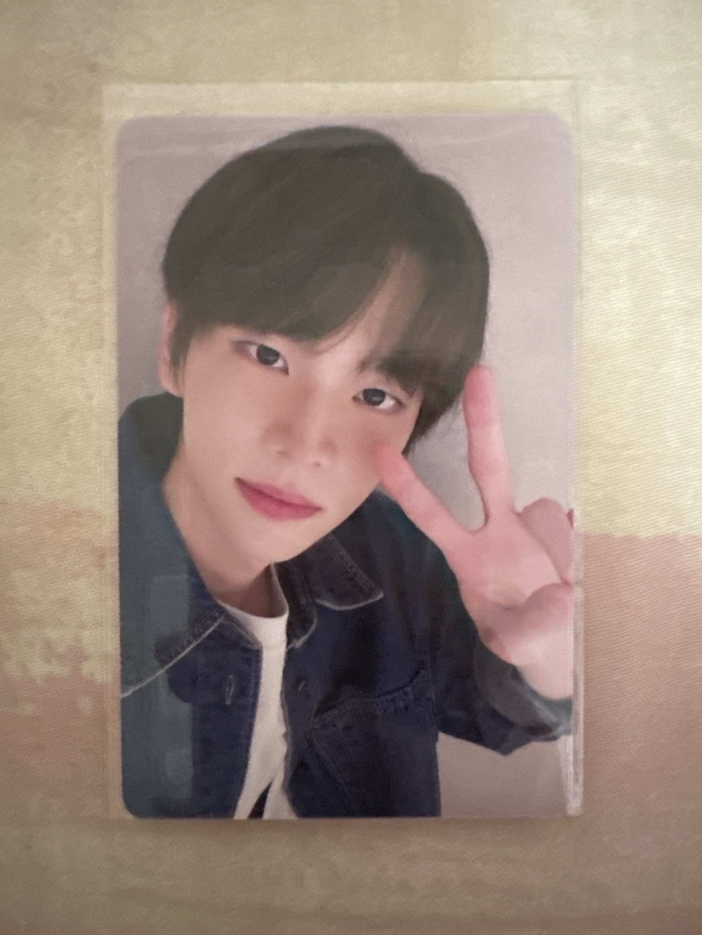 TWS SUMMER BEAT! yzy 一直娛 清涼學長 特典卡 SHINYU 申惟