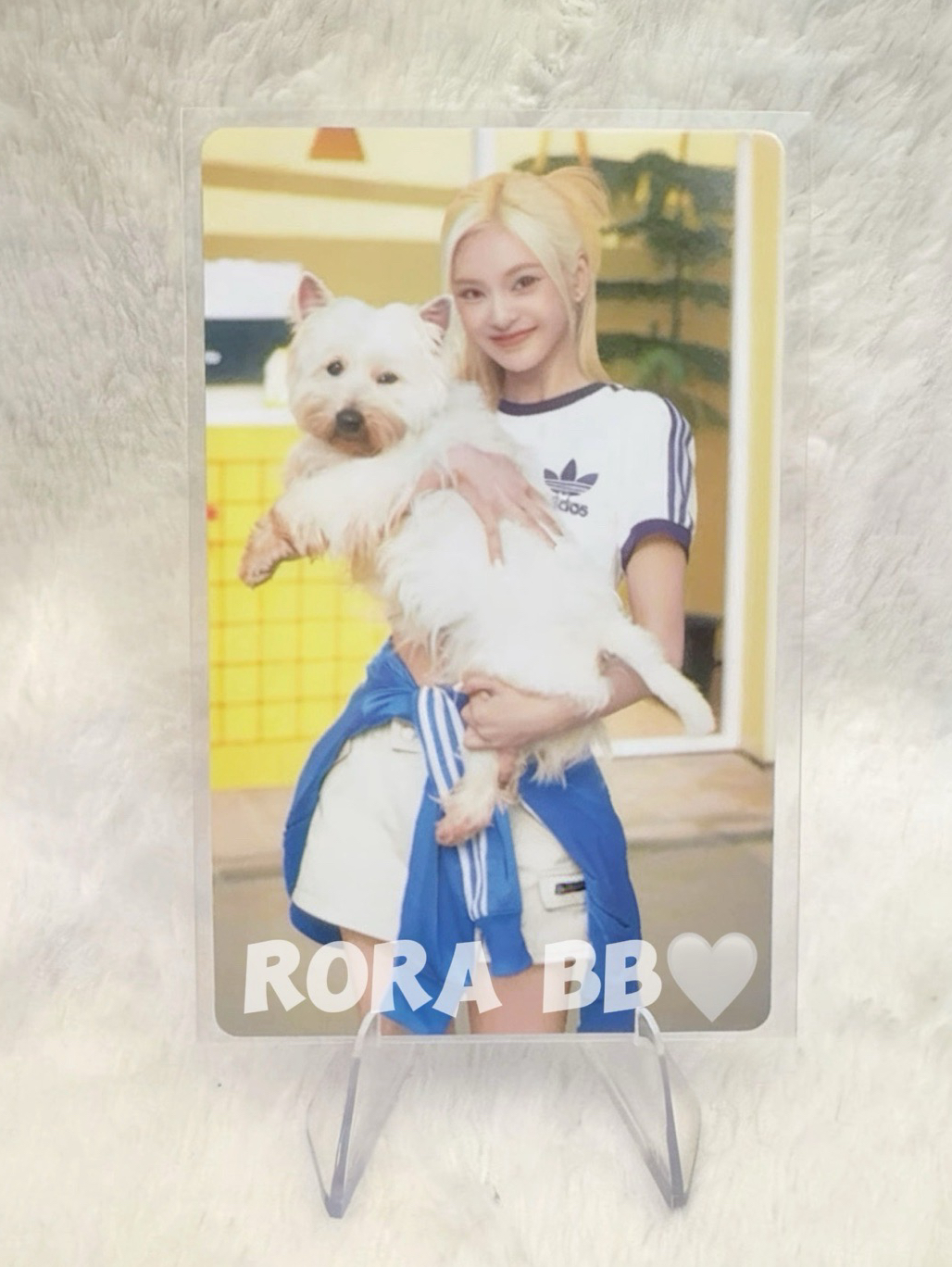 🩵BABYMONSTER CHIQUITA 愛迪達線下代言卡