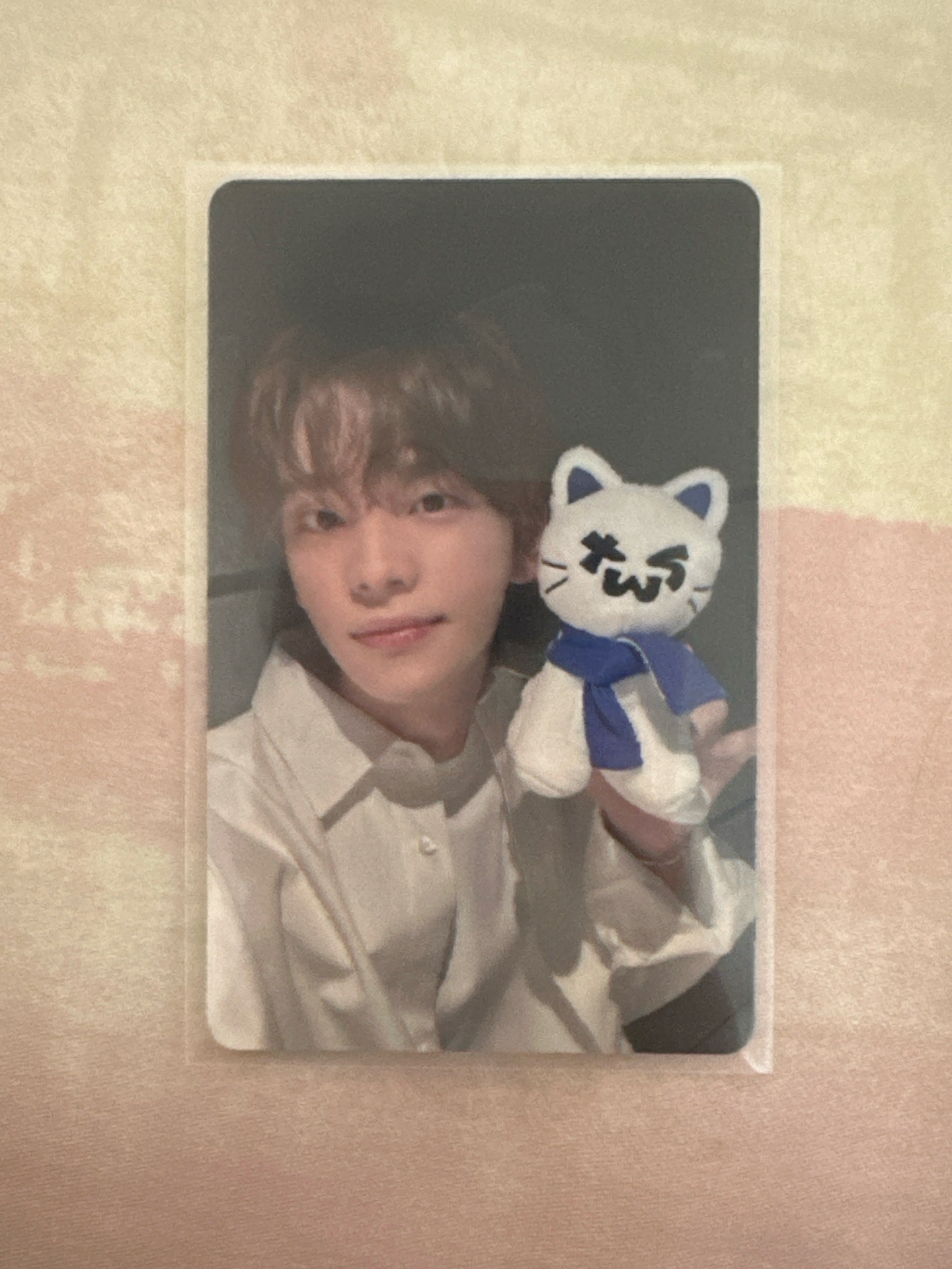 TWS SUMMER BEAT! wvs 直播卡  SHINYU 申惟