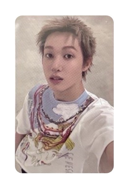 cortis wvs幸運 馬