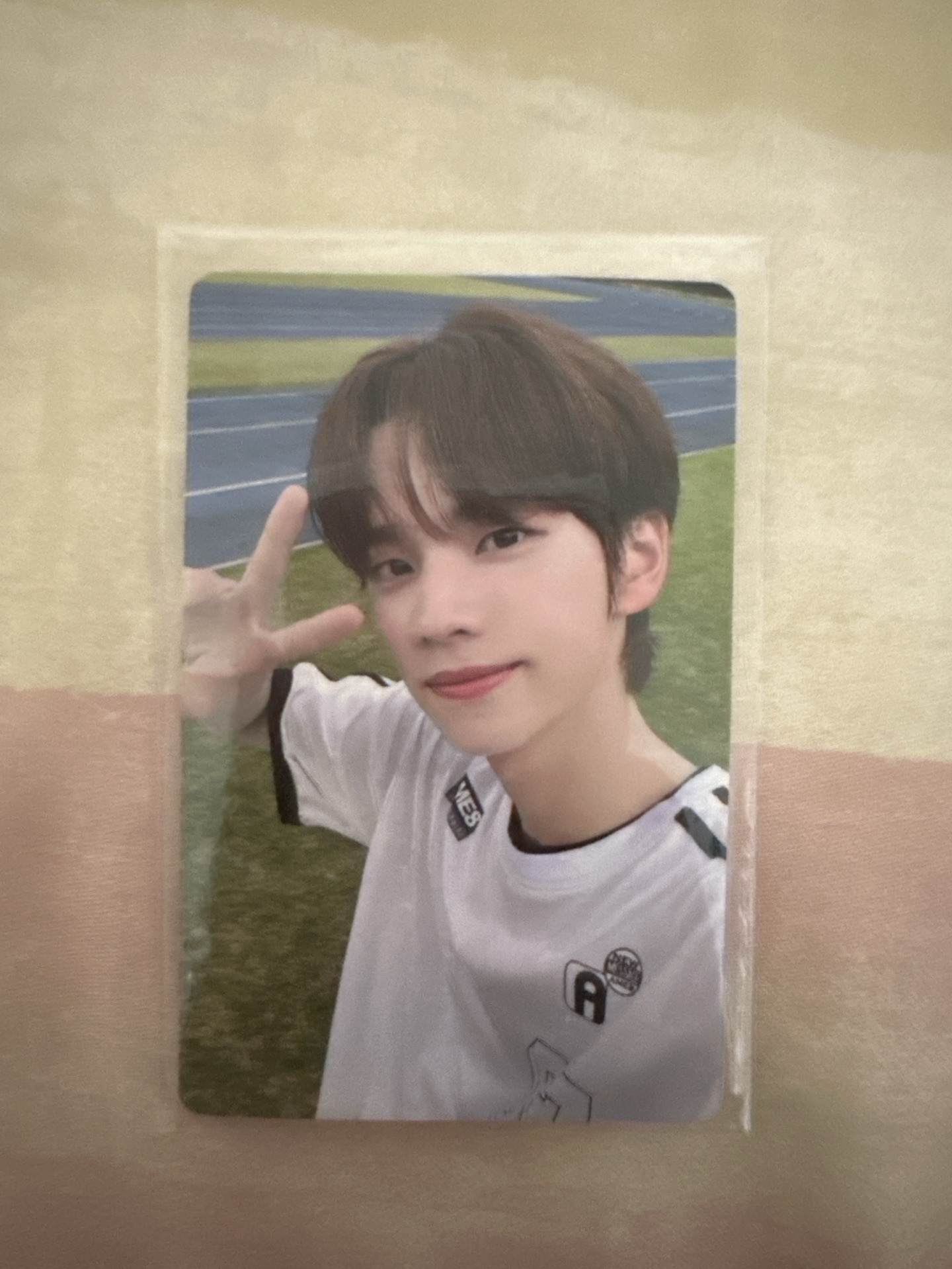 TWS SUMMER BEAT! yzy 1.0 特典卡 中文卡背 SHINYU 申惟 小狗惟尼