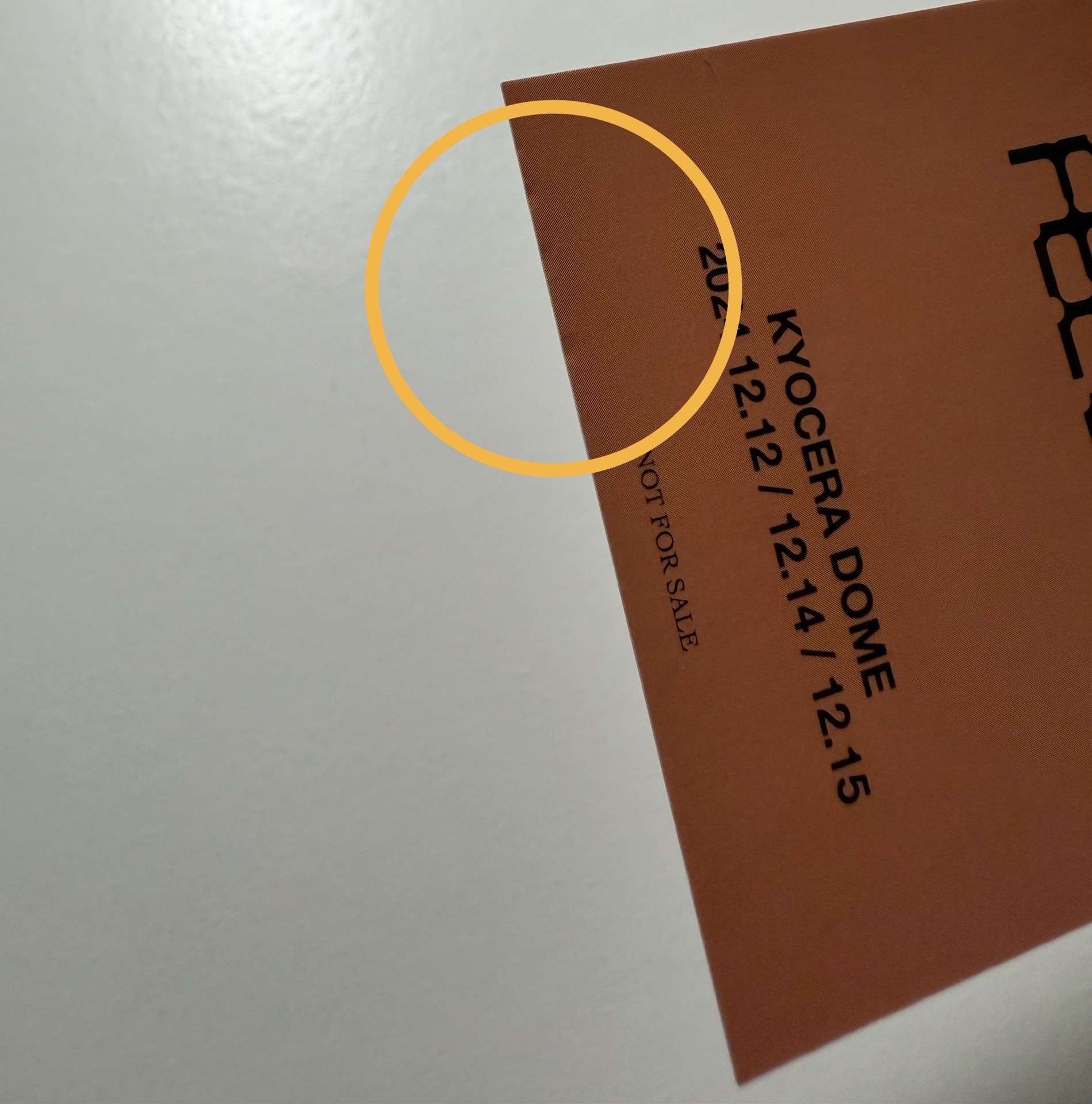 SEVENTEEN RIGHT HERE 日本場限-🦦DINO一套16張+消費期限空專*2