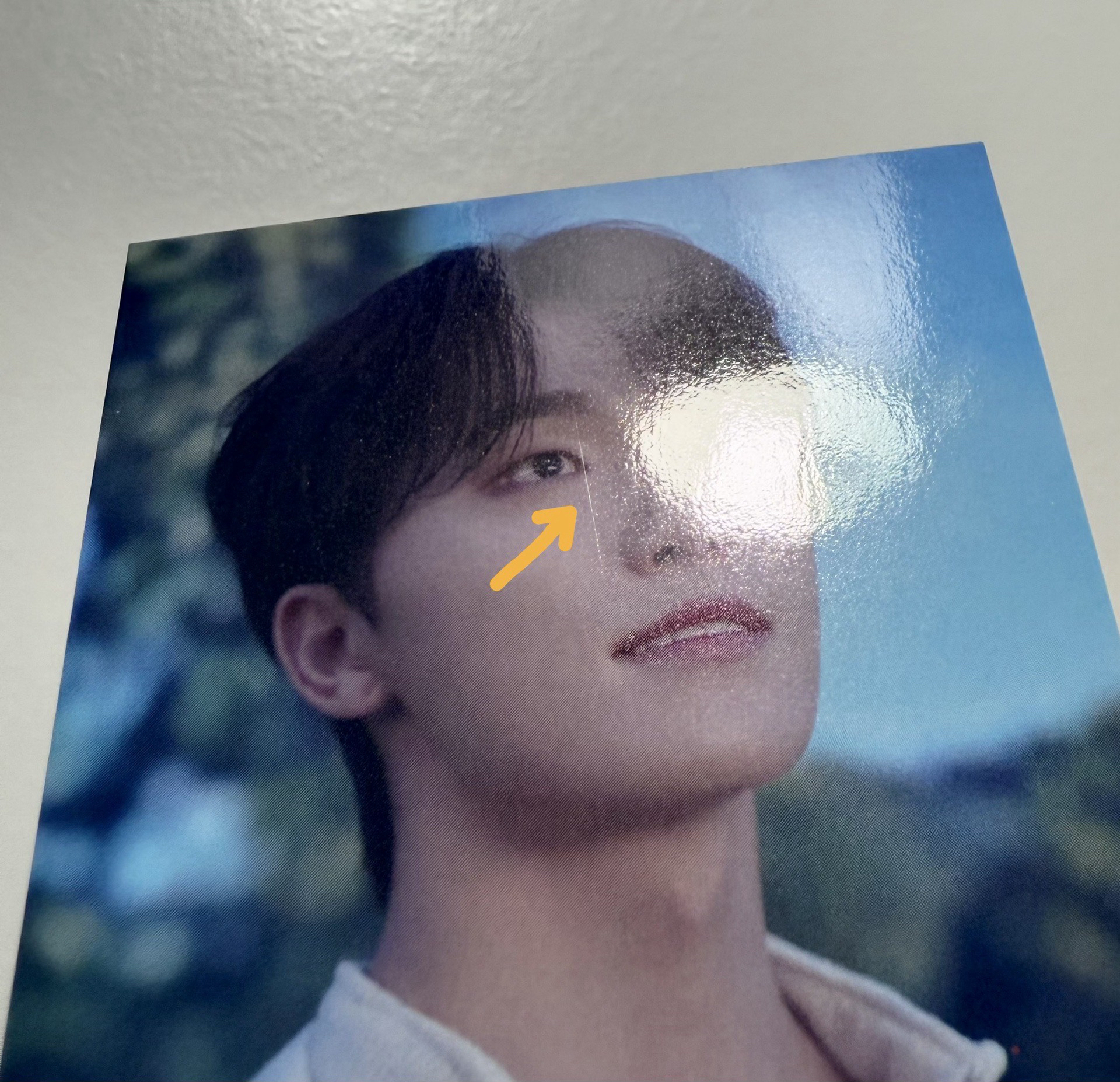 SEVENTEEN RIGHT HERE 日本場限-🦦DINO一套16張+消費期限空專*2