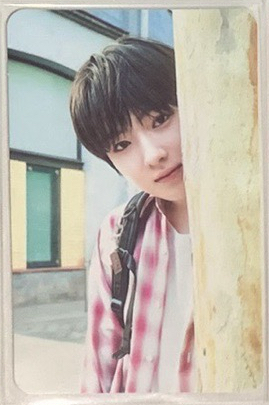 wish卡包隨機官拍