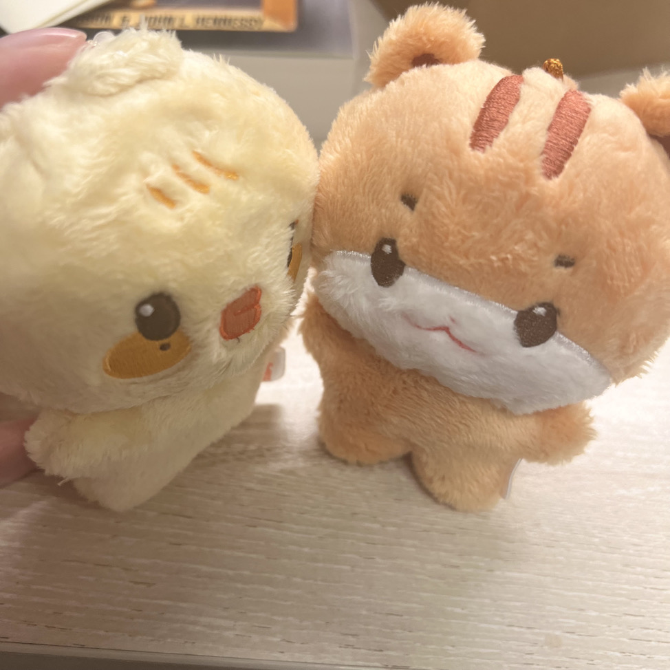 minkiꔛ（等待包材中）