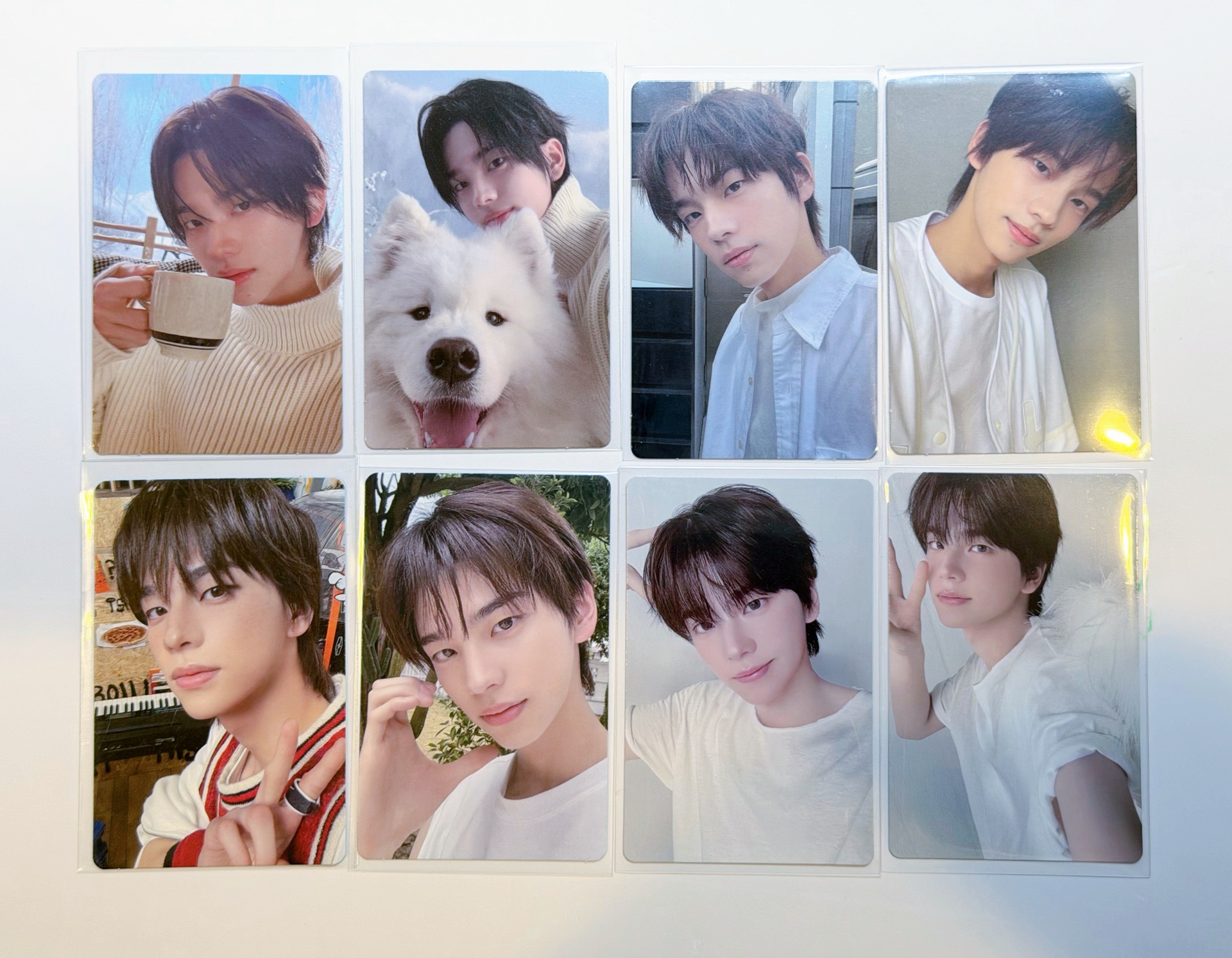 TWS 申惟 專卡+明信片+拍立得 16張卡+3張明信片+2張拍立得造型卡 共21樣