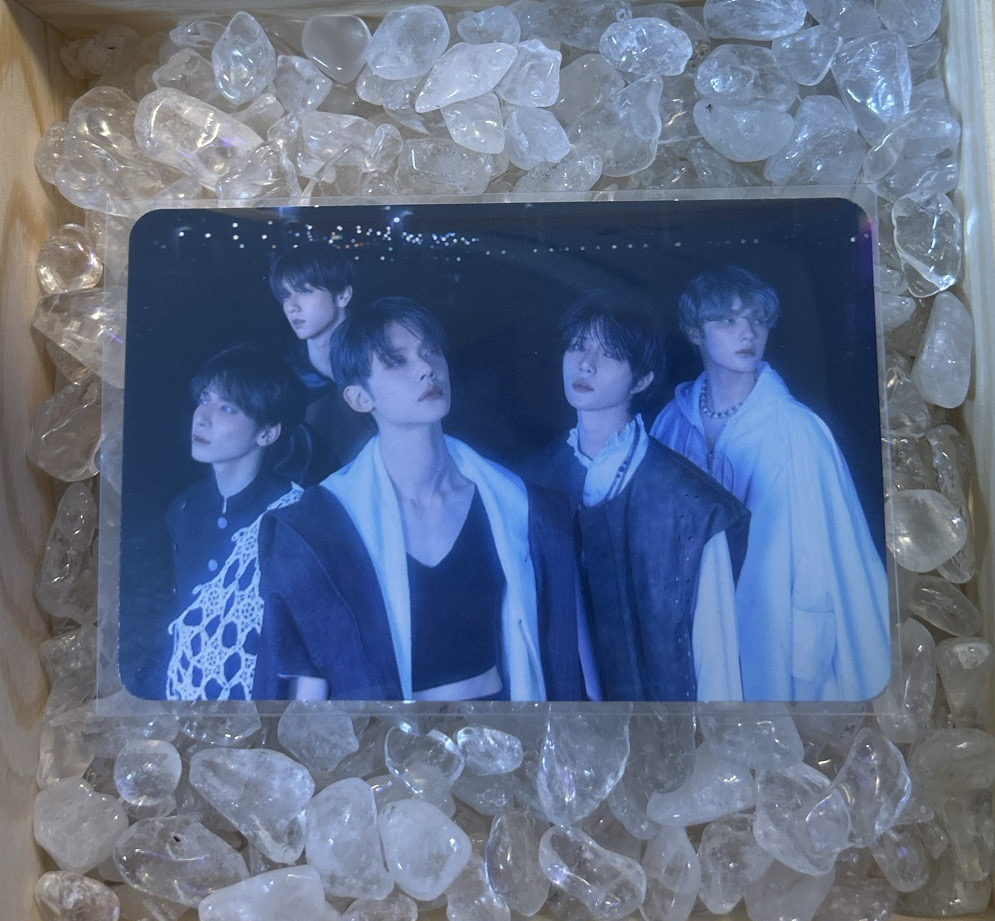 迷六 電子專 五隻仙女🧚‍♀️