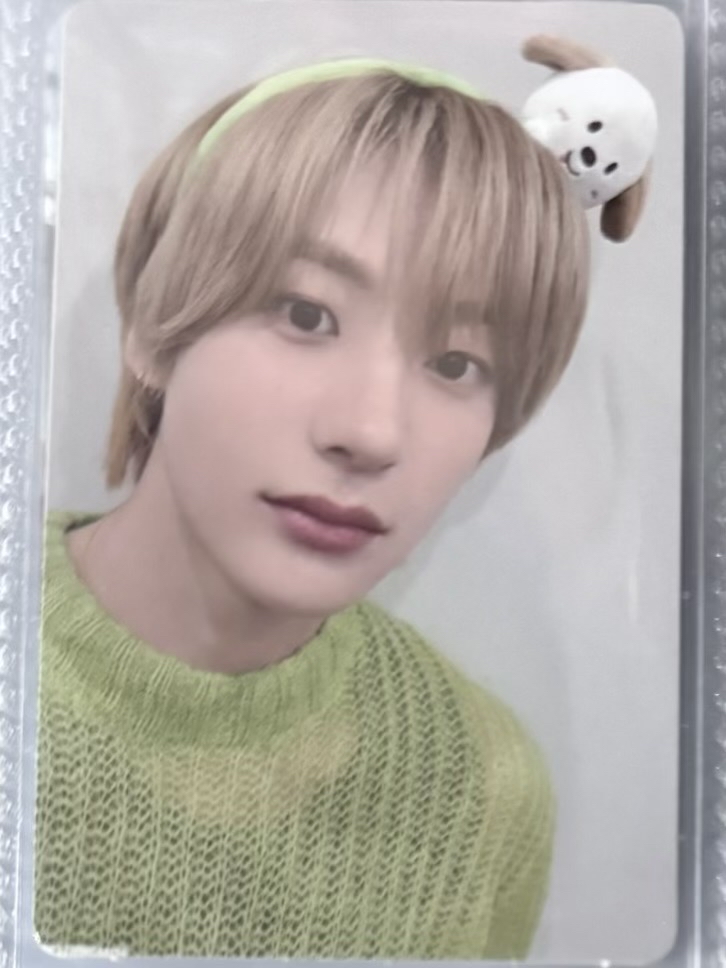 愛寶樂園髮箍卡+髮箍整組