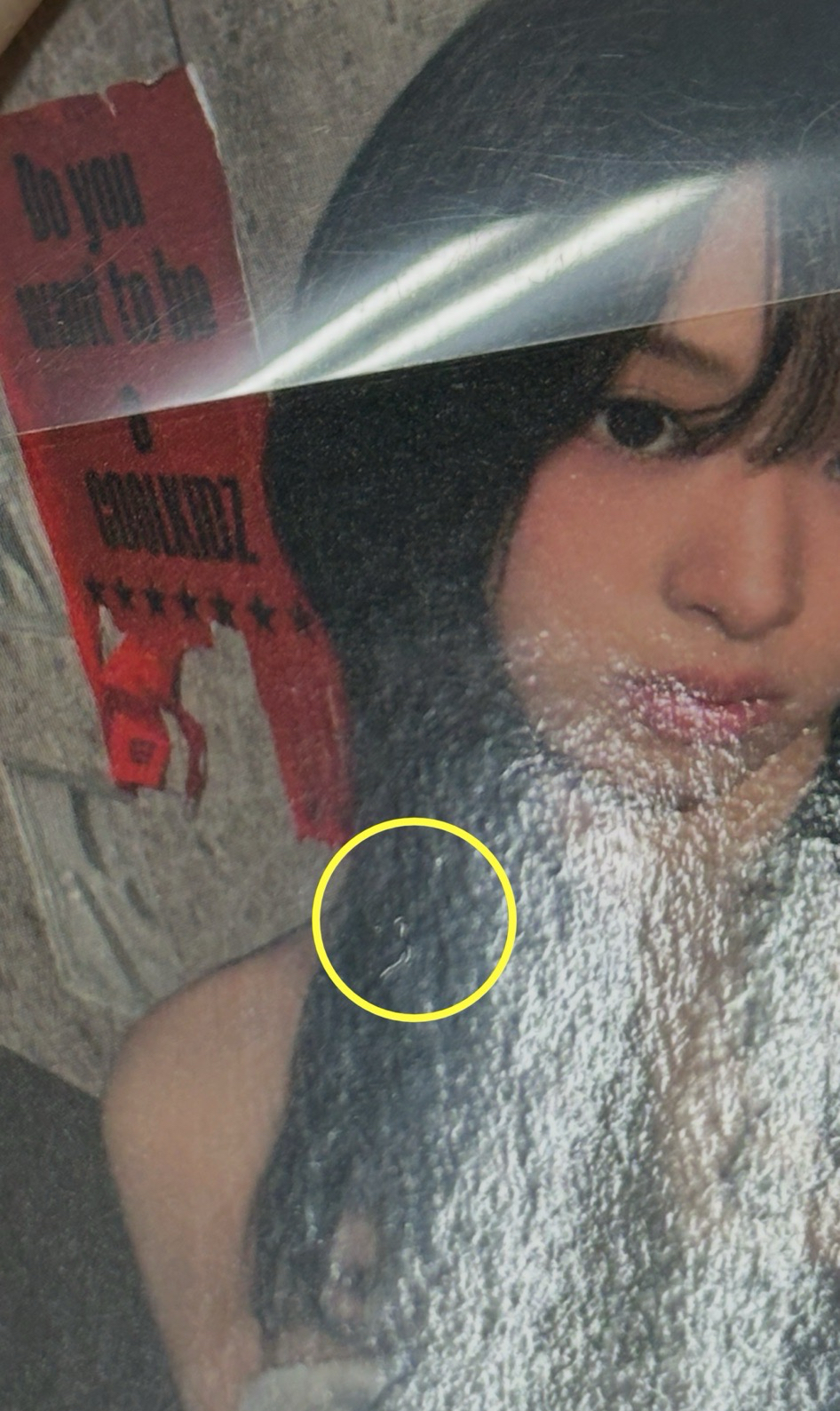 中背賢 下單送演唱會紙花