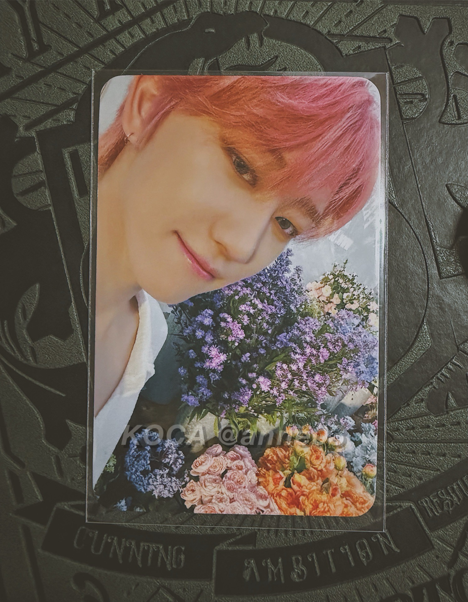 SECTOR 17 蝦皮特典 八