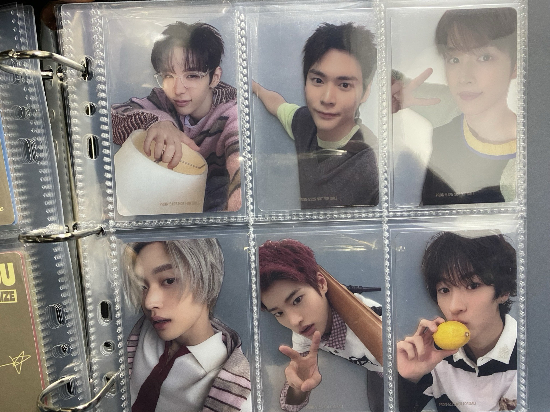 日專東蛋盤透卡一套