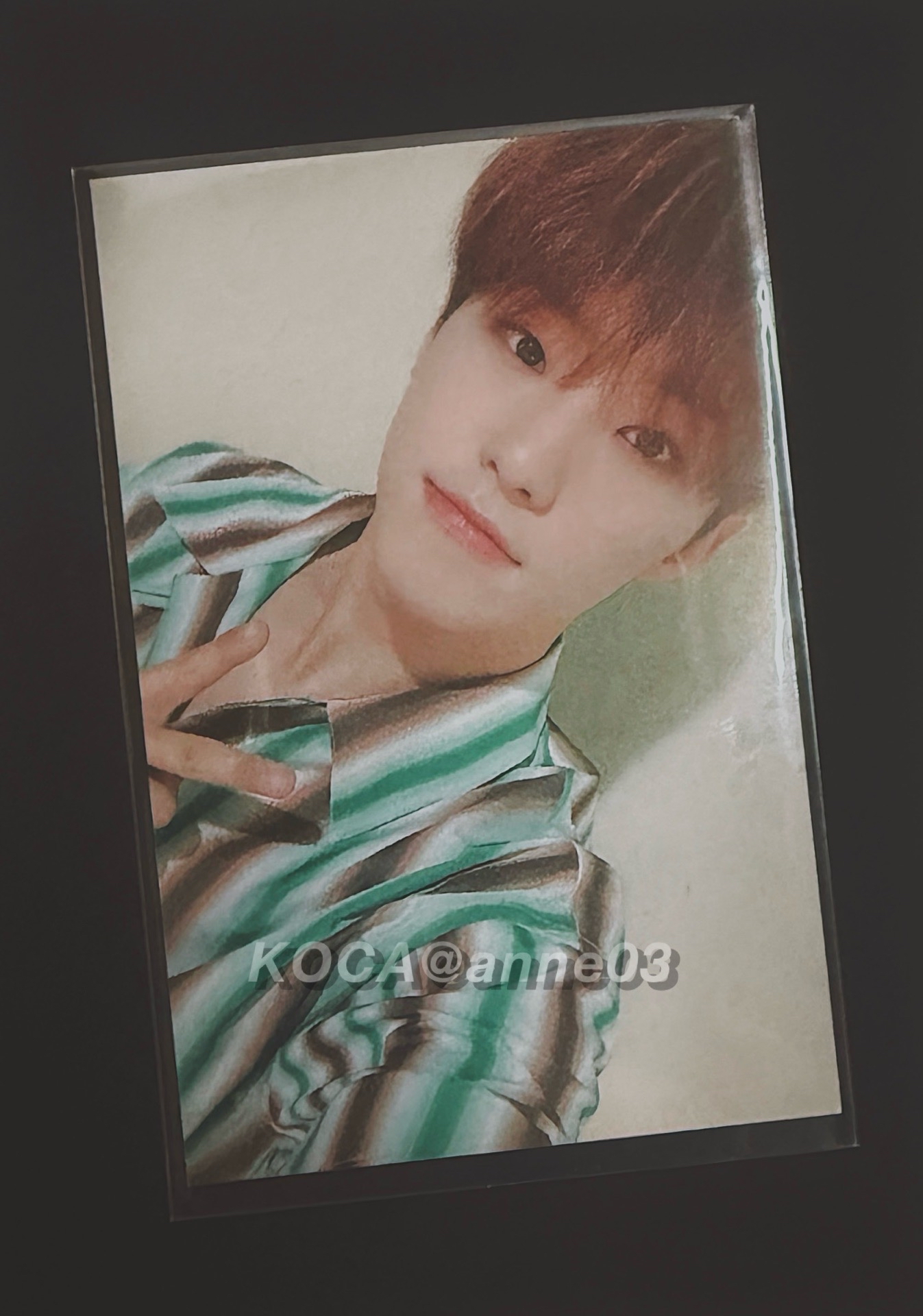 19’OTY CARAT ZONE 榮