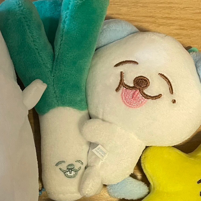 李帝努 大蔥娃娃