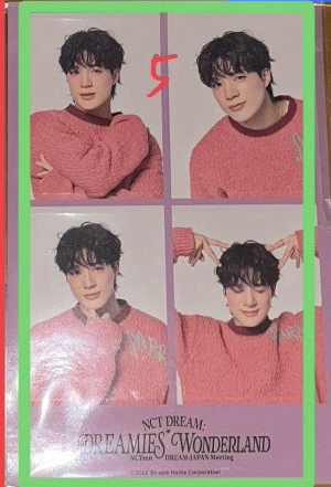 日本飯咪 帝努貼紙