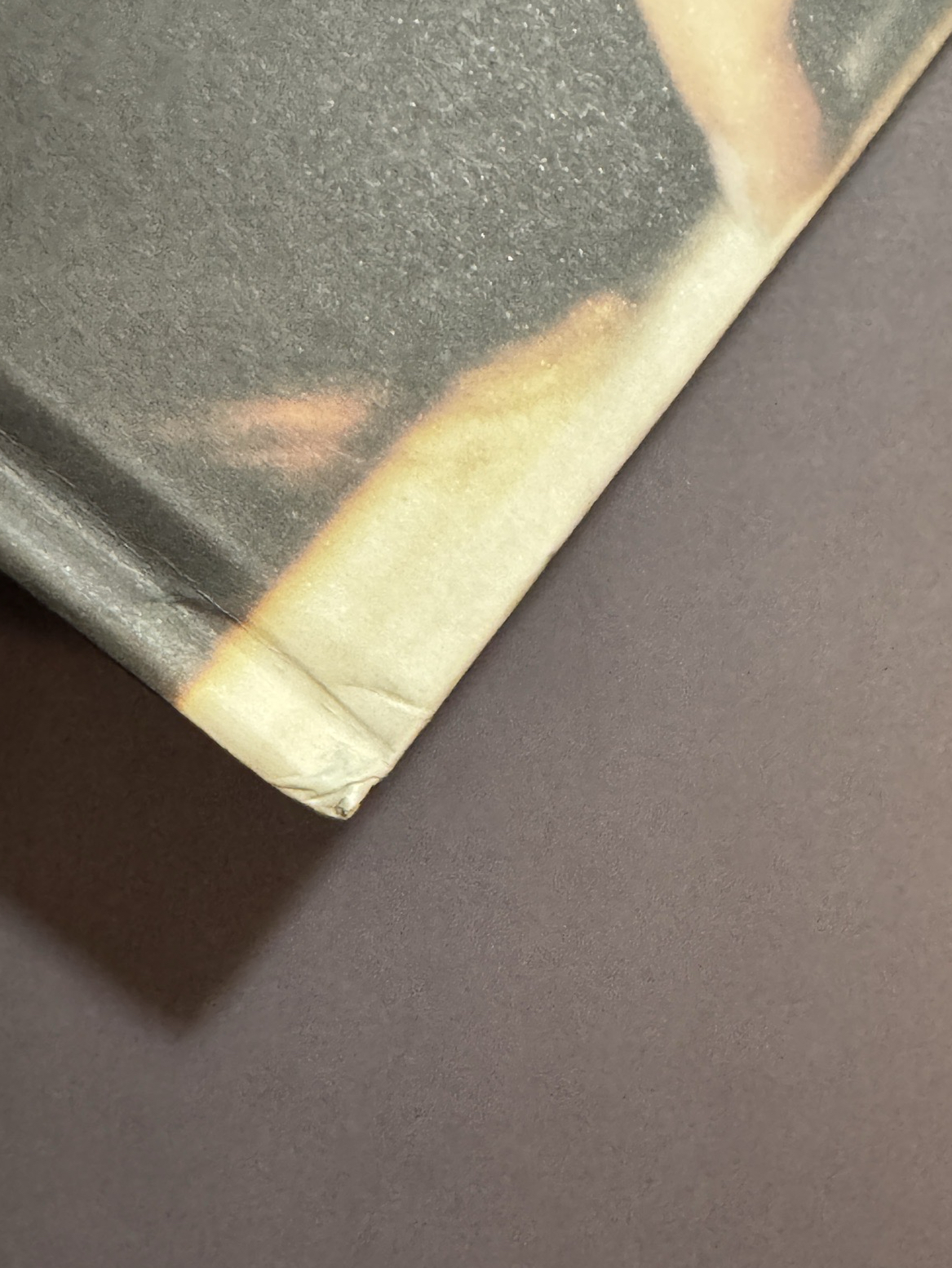 Fly ver.（配置如圖）