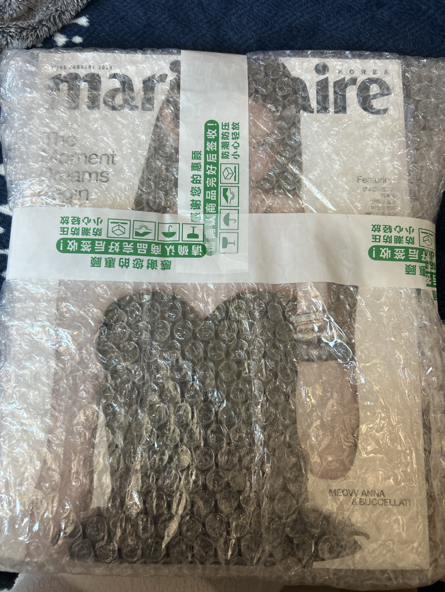 美麗佳人雜誌Anna