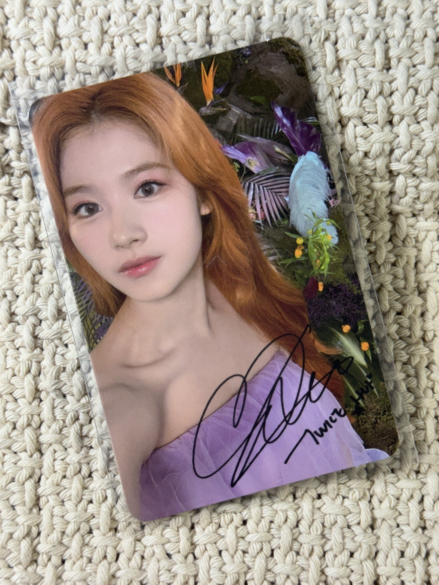 紗專卡 迷9 專輯卡