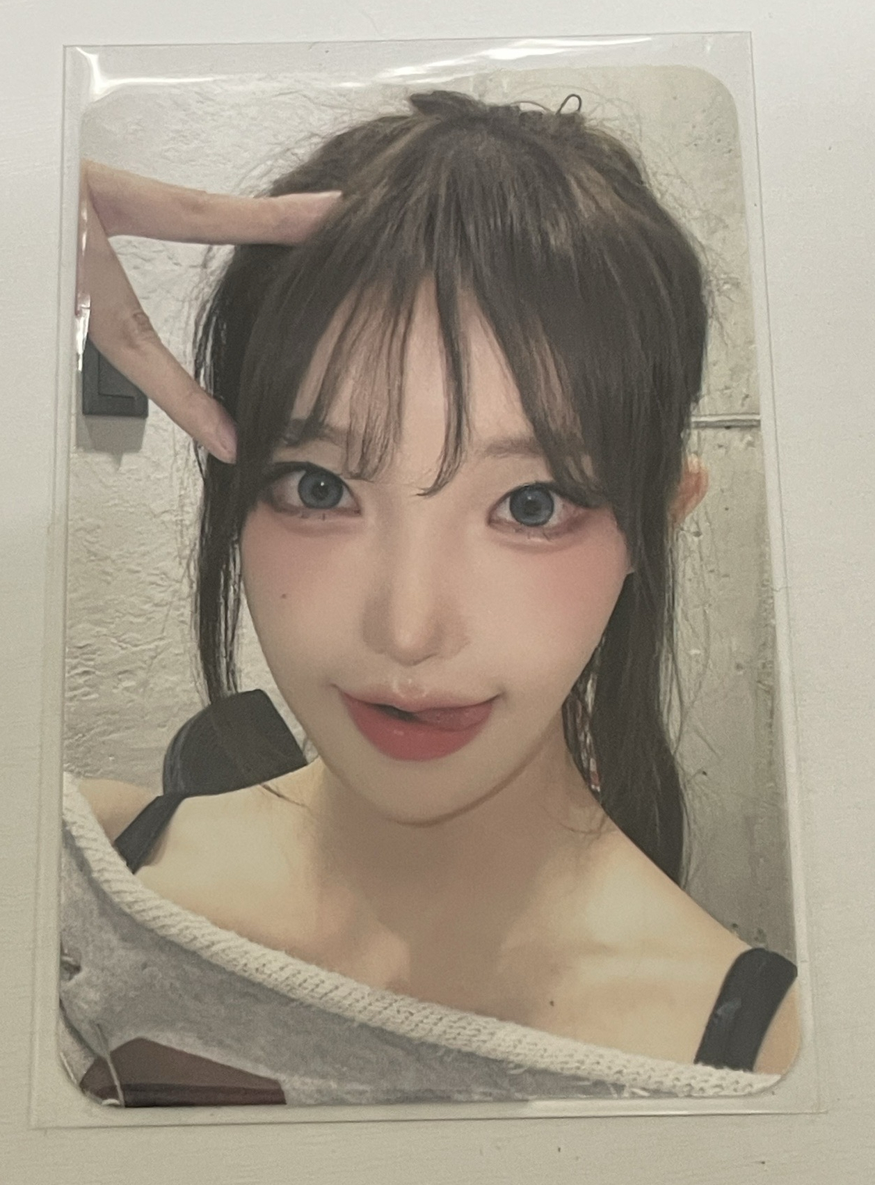 迷三 dmm 線上 1.0 簽售卡 貓咪