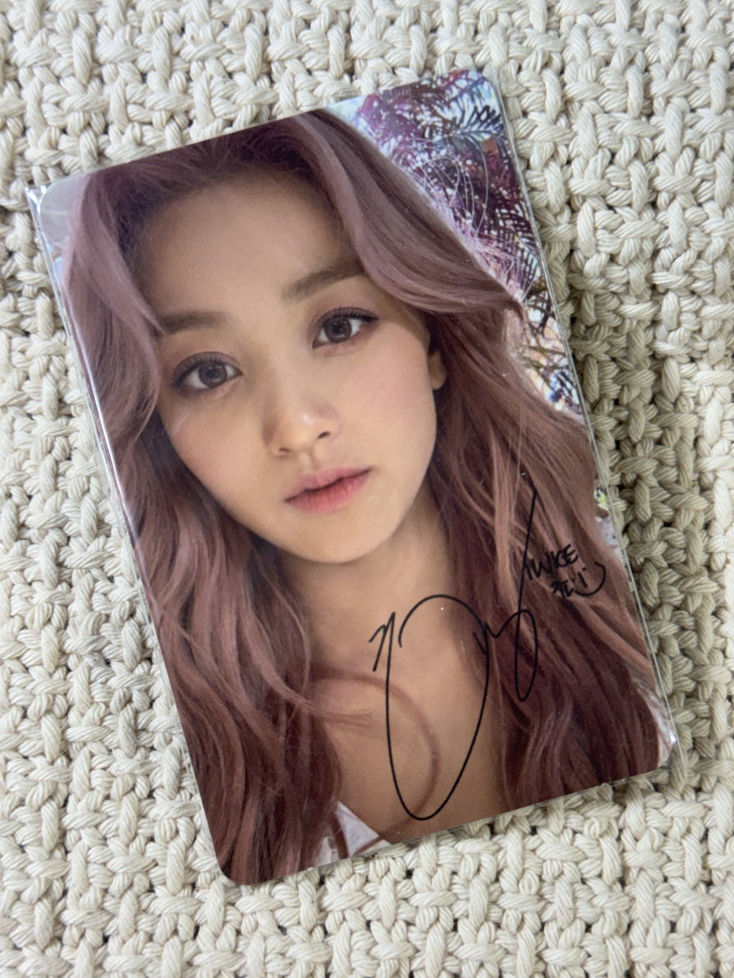 志效專卡 迷9 專輯卡