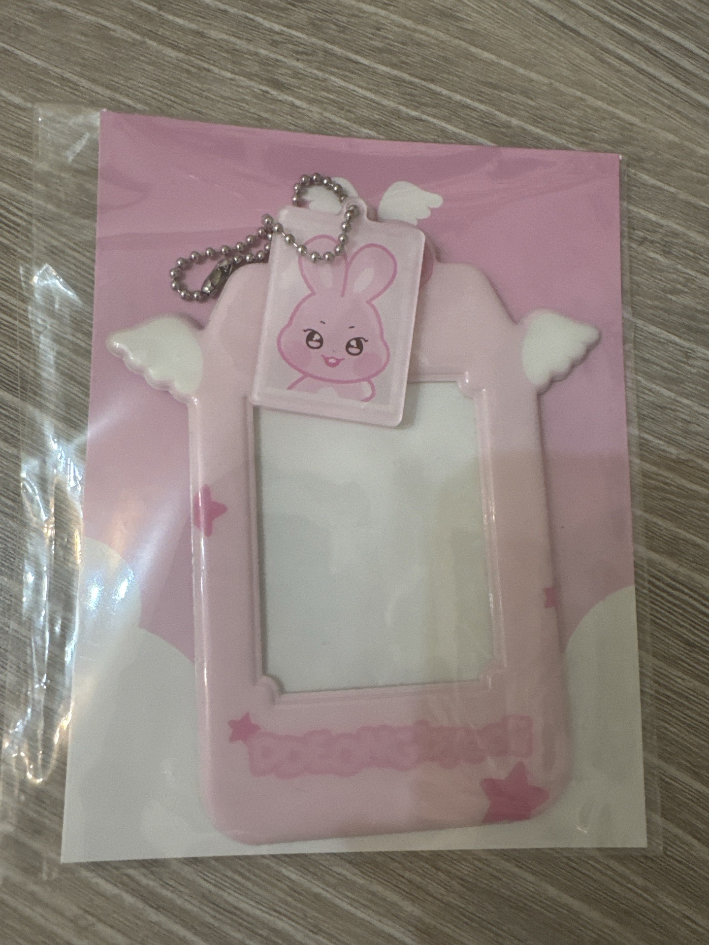 ANITEEZ IN DREAMLAND 卡套 (組) PVC PHOTOCARD HOLDER